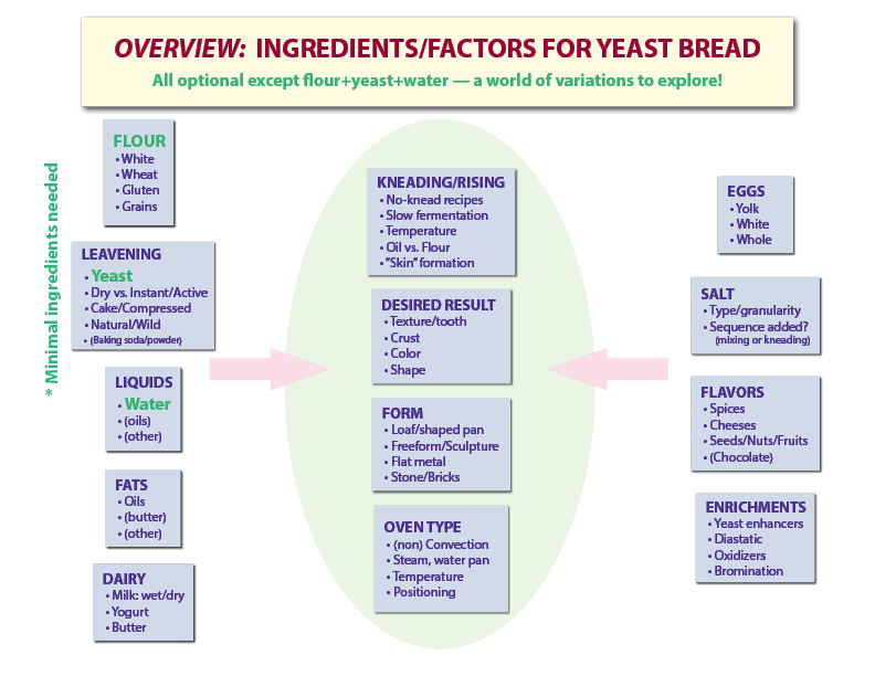 ingredients & factors for yeast bread making
